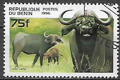 Benin u Mi 0858