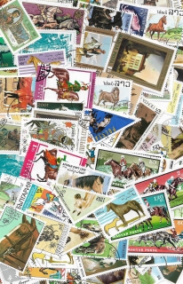 Koně 50 různých poštovních známek