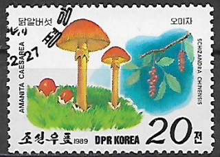 Severní Korea u Mi 3000