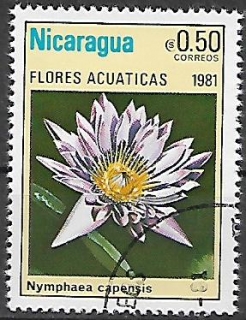 Nikaragua u Mi  2201
