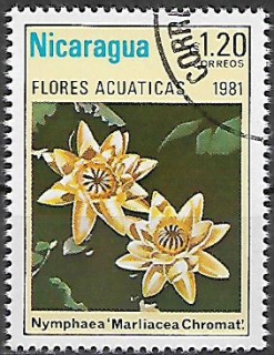 Nikaragua u Mi  2203
