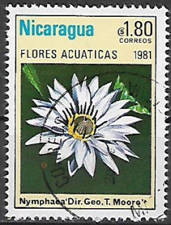 Nikaragua u Mi  2204