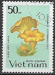 Vietnam u Mi 1373