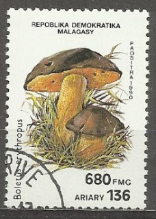 Madagaskar  u Mi  1292