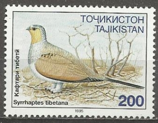 Tádžikistán u Mi 0080