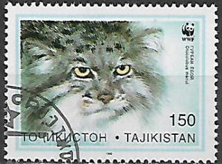 Tádžikistán u Mi 0096