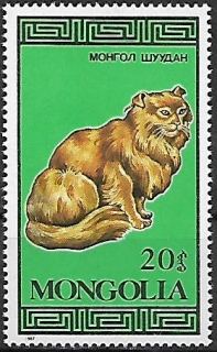 Mongolsko N Mi  1900