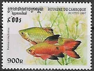 Kambodža N Mi 1764