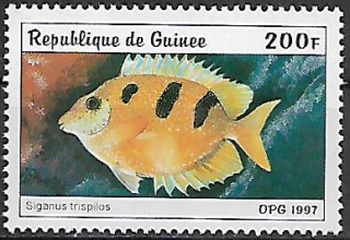 Guinea N Mi  1645