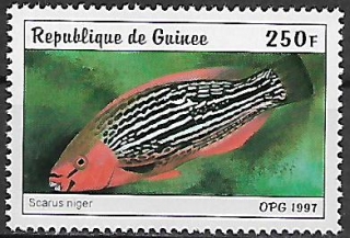Guinea N Mi  1646