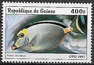 Guinea N Mi  1648