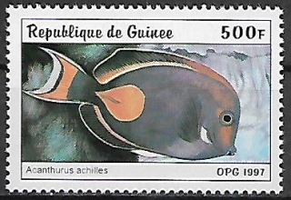 Guinea N Mi  1650