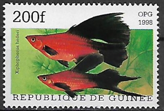 Guinea N Mi  1887