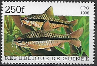 Guinea N Mi  1888