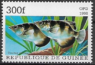 Guinea N Mi  1889