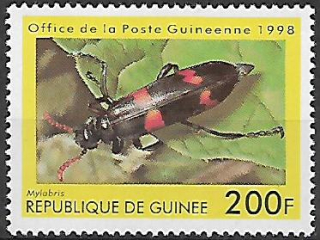 Guinea N Mi  1894
