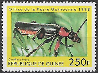 Guinea N Mi  1895