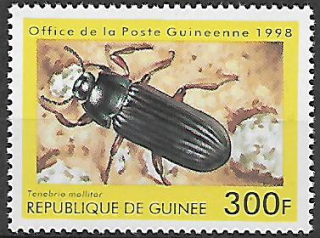 Guinea N Mi  1896