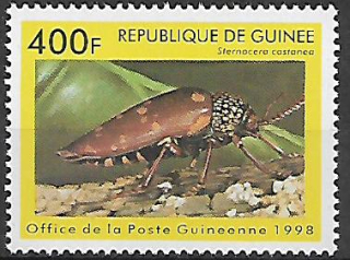 Guinea N Mi  1897