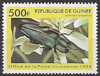 Guinea N Mi  1899