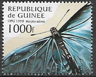 Guinea N Mi  1722