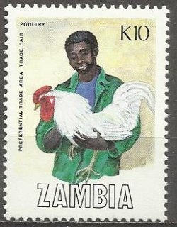 Zambie N Mi  0455