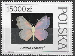 Polsko N Mi 3349