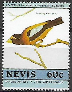 Nevis N Mi  0273