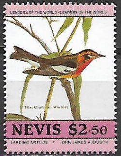 Nevis N Mi  0274