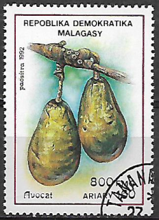 Madagaskar  u Mi  1364