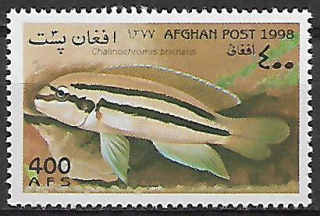Afghánistán N Mi 1805