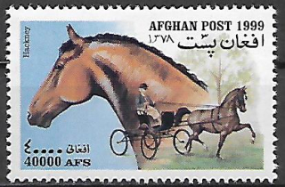 Afghánistán N Mi 1906