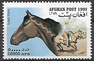 Afghánistán N Mi 1907