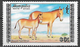 Mongolsko N Mi  1998