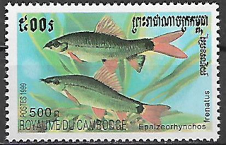 Kambodža N Mi 1991