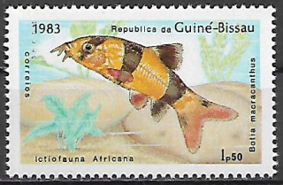 Guinea Bissau N Mi  0732