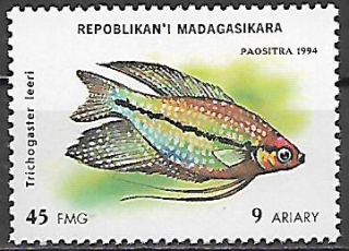 Madagaskar N Mi 1719