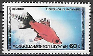Mongolsko N Mi  1840