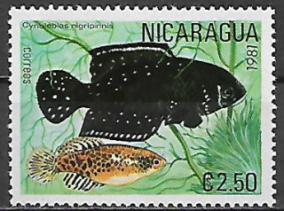 Nikaragua N Mi  2212