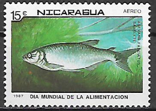 Nikaragua N Mi  2832