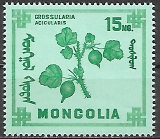 Mongolsko N  Mi 0492