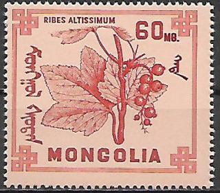 Mongolsko N  Mi 0495