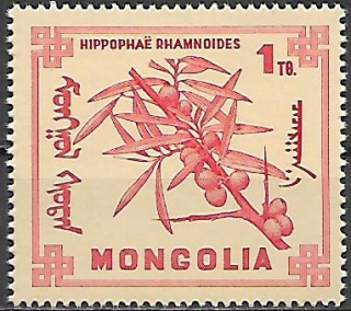 Mongolsko N  Mi 0497
