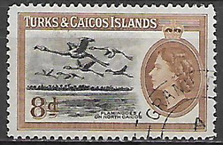 Turks a Caicos u Mi  0162