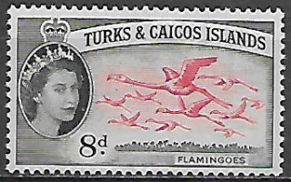 Turks a Caicos N Mi  0171