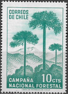 Chile N Mi 0663