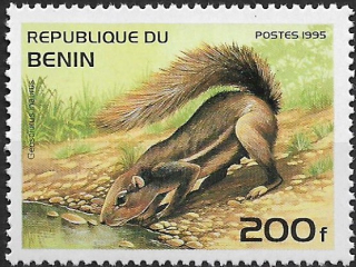 Benin N Mi 0695