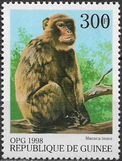 Guinea N Mi  1954
