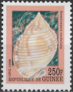Guinea N Mi  2115