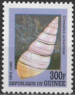 Guinea N Mi  2116